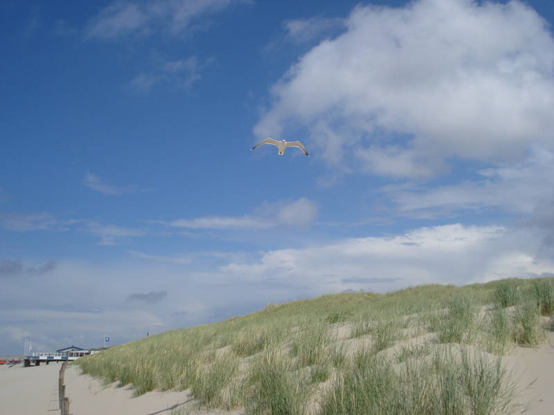 Urlaub am meer Callantsoog LekkerNaarZee